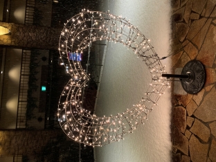 十日町は初雪が降りました♪