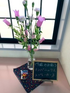 カンパニュラ・スプレーカーネーション