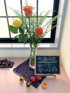 バラ・ソリダコ